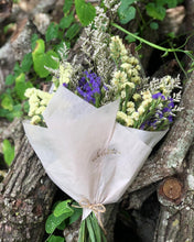 Cargar imagen en el visor de la galería, Silvātica Wild