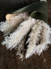 Cargar imagen en el visor de la galería, Pampas Grass

