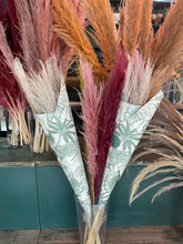 Cargar imagen en el visor de la galería, Pampas Grass
